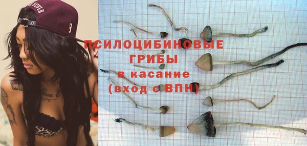 мяу мяу кристалл Билибино