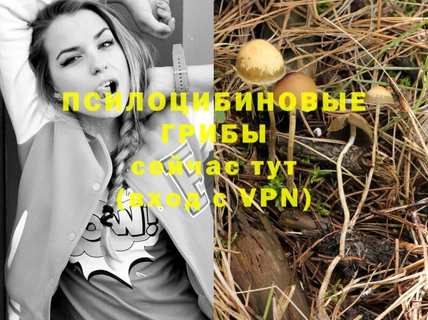 метадон Нея