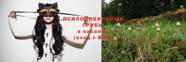 метадон Нея