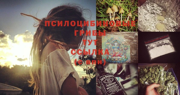 метадон Нея