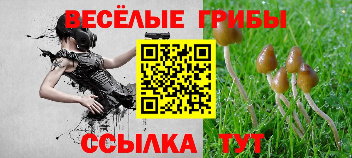 Масло ТГК  Каннабис  MDMA  Марки  Альфа-ПВП  Гашик  Вход с VPN  Зеленокумск  Молли  КОКАИН  МЕФ 
