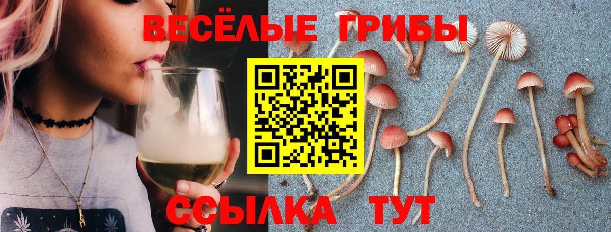 Галлюциногенные грибы Magic Shrooms Зеленокумск