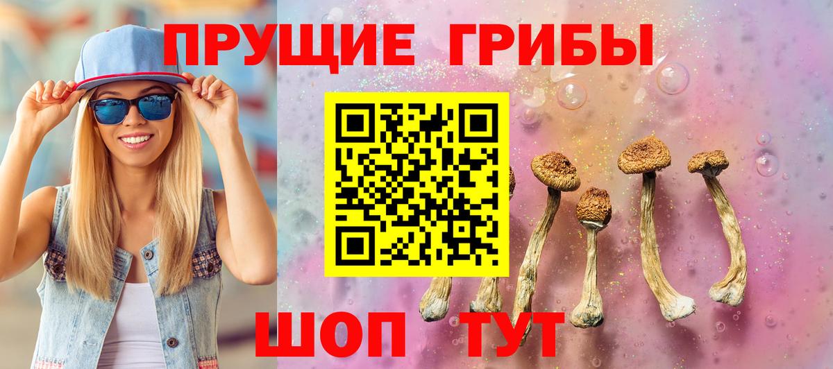 Зеленокумск  Псилоцибиновые грибы Cubensis  Вход с VPN 