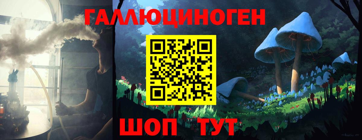 Псилоцибиновые грибы Psilocybe Зеленокумск