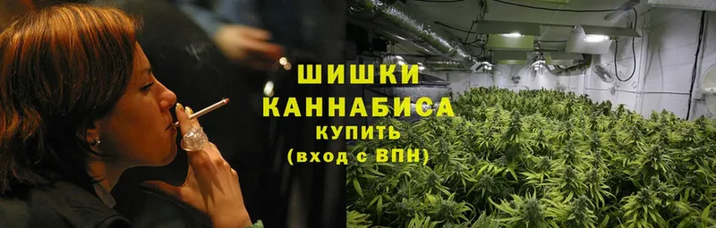 мега зеркало  Зеленокумск  Бошки Шишки OG Kush 