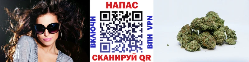 Каннабис гибрид  Зеленокумск 